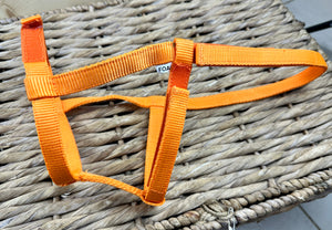 Foal Sized Fieldsafe Quick Release Headcollar/Slip