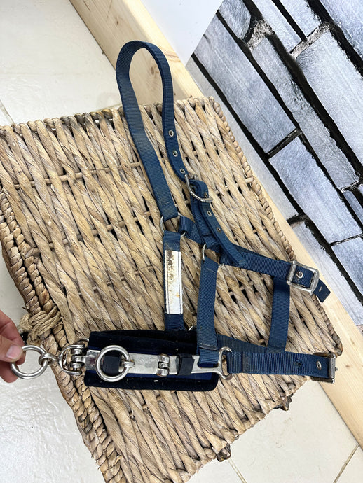 S/H Web Lunge Lunging Cavesson - Blue - Full