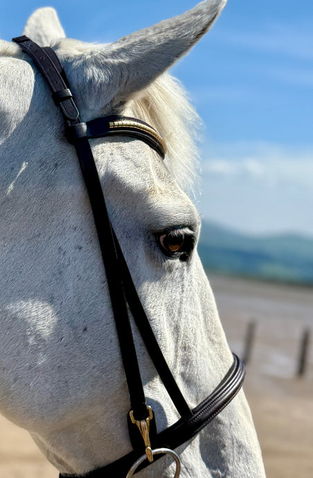 Clip Work Bridle with Clinchered Wave Brow - Brown/Brass - Cob/Full/XF