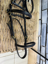 Load image into Gallery viewer, S/H In-hand Showing Bridle, Bit, Coupling &amp; Lead - Cob