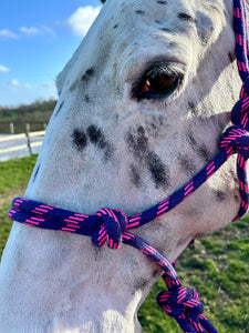 Soft Rope Control Halter/Headcollar - One Size - Pink/Purple & Blue