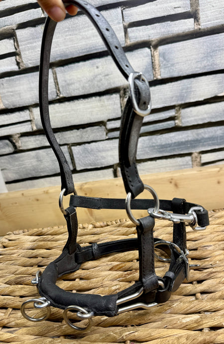 Miniature Horse/Mini Shetland Leather Lunge Cavesson - Black
