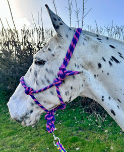 Soft Rope Control Halter/Headcollar - One Size - Pink/Purple & Blue