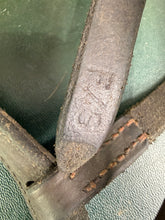 Load image into Gallery viewer, Sabre Raised Cavesson Noseband - Brown - Full - Traditional English Leather