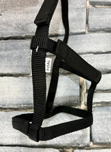 Load image into Gallery viewer, Foal Sized Fieldsafe Quick Release Headcollar/Slip