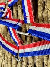 Load image into Gallery viewer, Adjustable Headcollar &amp; Lead Rope Set - Shetland up to Full Size - Red/White/Blue