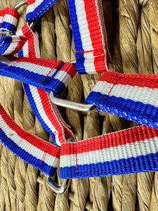Adjustable Headcollar & Lead Rope Set - Shetland up to Full Size - Red/White/Blue