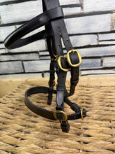 Load image into Gallery viewer, S/H In hand Flat Showing Bridle -Black/Brass- Mini Shetland