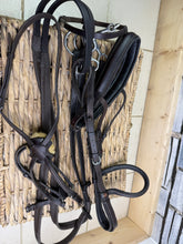 Load image into Gallery viewer, Albion KB English Bridle - Flash/Cavesson &amp; Grackle - Full