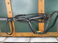 Load image into Gallery viewer, English Grackle Bridle - Full - Black - Mexican Grackle