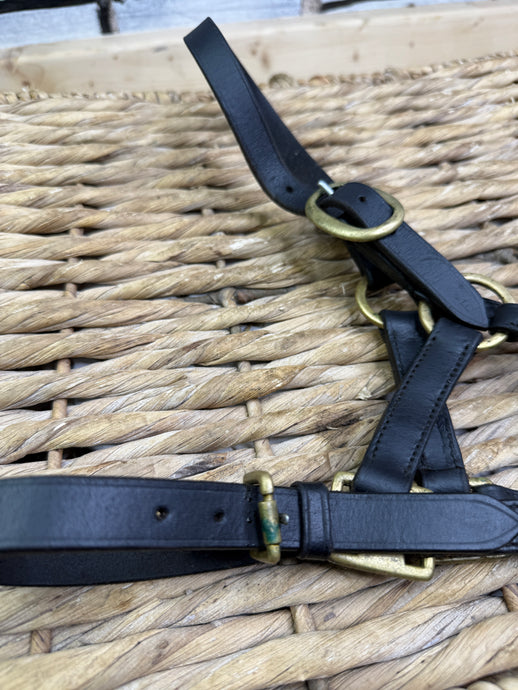 S/H Black & Brass Leather Headcollar - Medium Foal