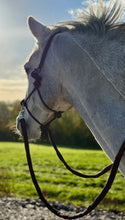 Load image into Gallery viewer, Soft Rope Halter/Bitless Sidepull Bridle with Reins - Small &amp; Large -