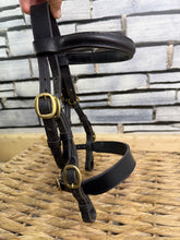 Load image into Gallery viewer, S/H In hand Flat Showing Bridle -Black/Brass- Mini Shetland