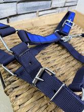 Load image into Gallery viewer, Heavy Horse Reinforced Web Headcollar - XXF
