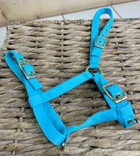 Load image into Gallery viewer, Soft Webbing Standard Foal Slip/Headcollar - Purple/Pink/Ocean