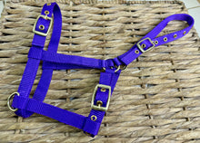 Load image into Gallery viewer, Soft Webbing Standard Foal Slip/Headcollar - Purple/Pink/Ocean