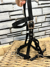 Load image into Gallery viewer, S/H Espro Web Lunging Cavesson - Full