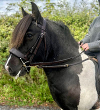 Load image into Gallery viewer, Wide Padded Chunky Hunter Bridle with Plaited Reins &amp; Browband