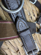 Load image into Gallery viewer, S/H Elastic 5-Point Breastplate &amp; Martingale -Brown- Small Pony