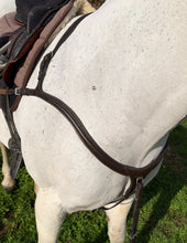 Load image into Gallery viewer, Anatomic Long Bridge Breastplate &amp; Running Martingale -Soft Padded Leather- Pony/Cob/Full - Black/Brown