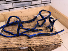 Load image into Gallery viewer, S/H Libbys Soft Web Flash Bridle &amp; Martingale - Blue/Black - Cob
