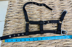 Mini Shetland Foal Headcollar - Tiny - Black/Navy Silver Fittings