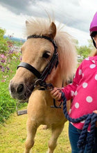 Load image into Gallery viewer, Plaited Hunter Bridle &amp; Rubber Reins - M&amp;M/Native/Shetland/Pony/Cob/XF - Black/Brown