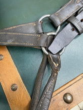 Load image into Gallery viewer, XXF/Draft English Leather Headcollar - Brown - Heavy Duty - Adjustable