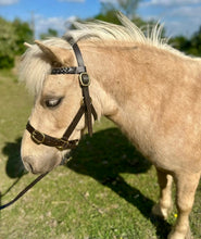 Load image into Gallery viewer, Shetland Leather Inhand Headcollar -Plaited Browband- Brown/Brass Fittings