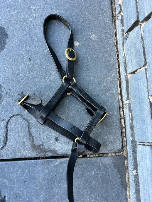 S/H Black Leather Foal Slip/Headcollar