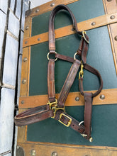 Load image into Gallery viewer, Brown/Tan Leather Padded Headcollar - Full Size -  Brass Clip