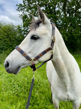 Load image into Gallery viewer, Leather Padded Polo Headcollar -Burgundy/White/Navy/Brown -Embroidered Design- Pony/Cob/Full - Black/Brown