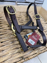 Load image into Gallery viewer, S/H Brown &amp; Brass Shires Leather Headcollar - Large Foal