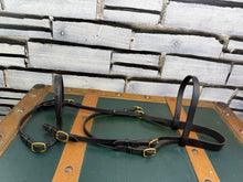 Load image into Gallery viewer, English In-hand Show Bridle - Full - Black/Brass -