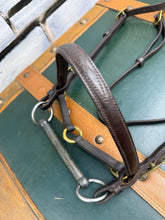 Load image into Gallery viewer, English In-hand Show Bridle - Full - Brown/Brass - 5” Inhand Bit