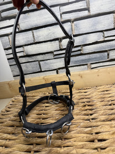 Miniature Horse/Mini Shetland Leather Lunge Cavesson - Black