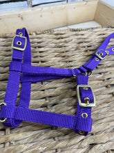 Load image into Gallery viewer, Soft Webbing Standard Foal Slip/Headcollar - Purple/Pink/Ocean