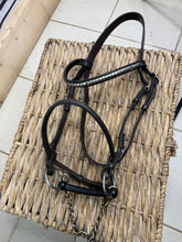 Load image into Gallery viewer, S/H In-hand Show Bridle-Clinchered Brow &amp; Coupling-Cob