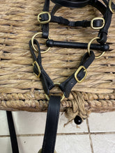 Load image into Gallery viewer, S/H In-hand Showing Bridle, Bit, Coupling &amp; Lead - Cob