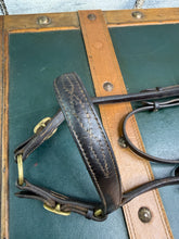 Load image into Gallery viewer, In-hand Show Bridle/Filly Slip/Halter  -Cob/Full Youngstock- Brown/Brass - English Leather