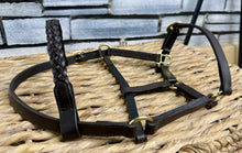 Load image into Gallery viewer, Shetland Leather Inhand Headcollar -Plaited Browband- Brown/Brass Fittings