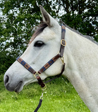 Load image into Gallery viewer, Leather Padded Polo Headcollar -Burgundy/White/Navy/Brown -Embroidered Design- Pony/Cob/Full - Black/Brown