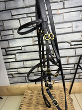 Load image into Gallery viewer, S/H In-hand Showing Bridle, Bit, Coupling &amp; Lead - Cob
