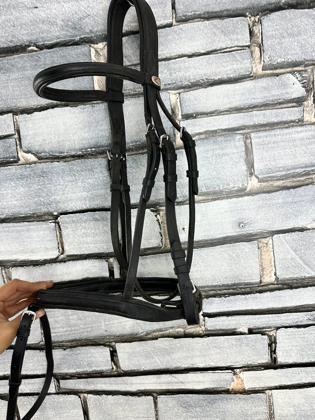 S/H Full Size Zaldi Anatomic Padded Flash Bridle - Black