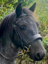 Load image into Gallery viewer, Wide Padded Chunky Hunter Bridle with Plaited Reins &amp; Browband