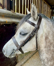 Load image into Gallery viewer, Plaited Hunter Bridle &amp; Rubber Reins - M&amp;M/Native/Shetland/Pony/Cob/XF - Black/Brown