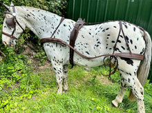 Load image into Gallery viewer, Complete Quality Leather Driving Breast Collar Harness - Brown - Shetland-Full Size