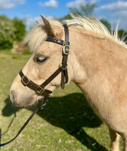 Shetland Leather Inhand Headcollar -Plaited Browband- Brown/Brass Fittings
