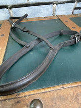 Load image into Gallery viewer, Sabre Raised Cavesson Noseband - Brown - Full - Traditional English Leather