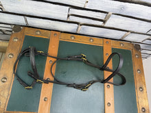 Load image into Gallery viewer, English In-hand Show Bridle - Full - Black/Brass -